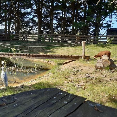 Tente Trappeur Ada, Au Jardin De La Vouivre Saint-Vincent-en-Bresse Exteriör bild