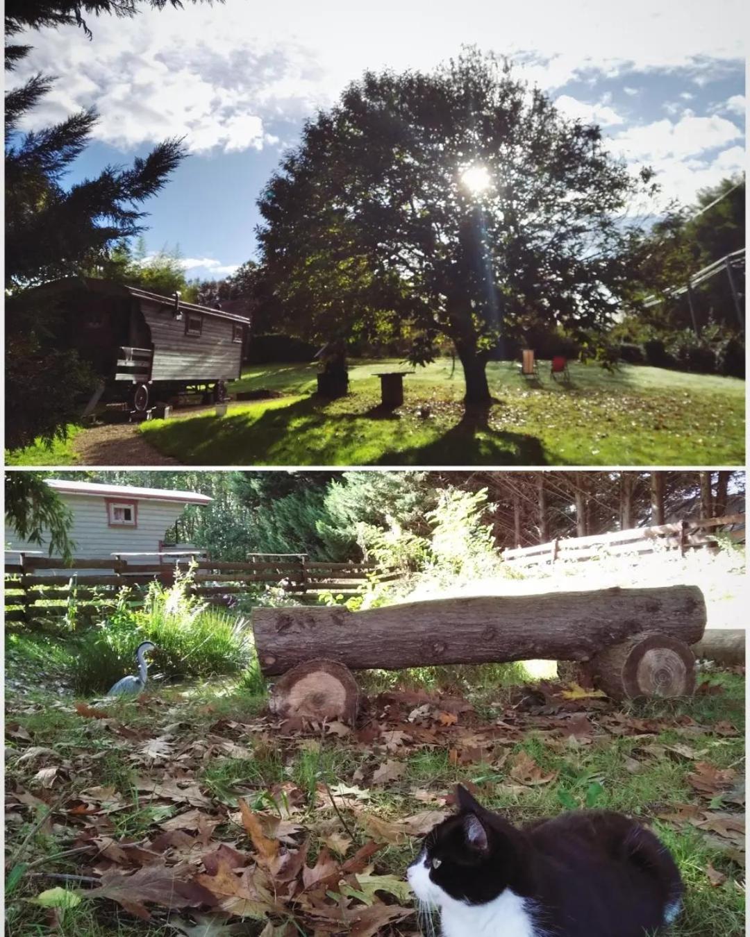 Tente Trappeur Ada, Au Jardin De La Vouivre Saint-Vincent-en-Bresse Exteriör bild