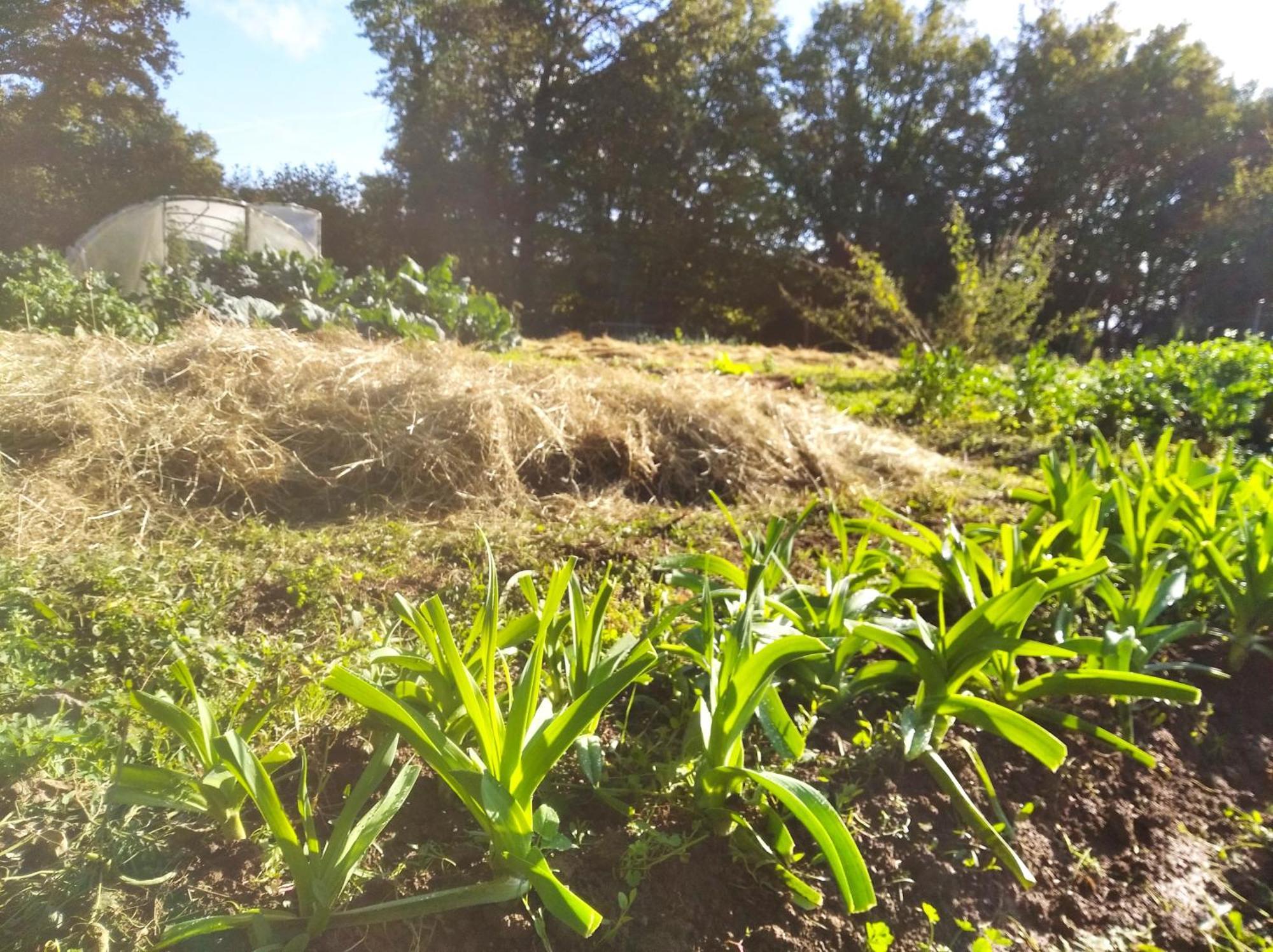 Tente Trappeur Ada, Au Jardin De La Vouivre Saint-Vincent-en-Bresse Exteriör bild