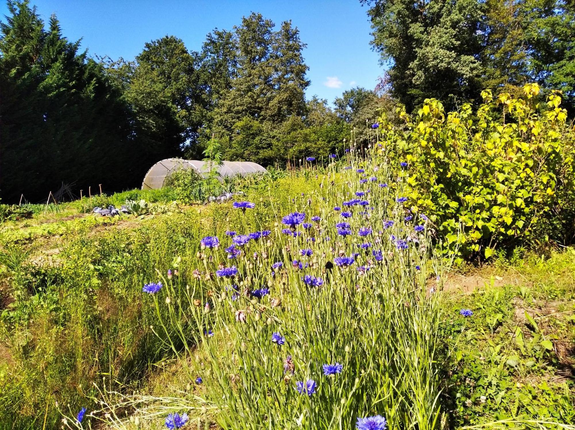 Tente Trappeur Ada, Au Jardin De La Vouivre Saint-Vincent-en-Bresse Exteriör bild