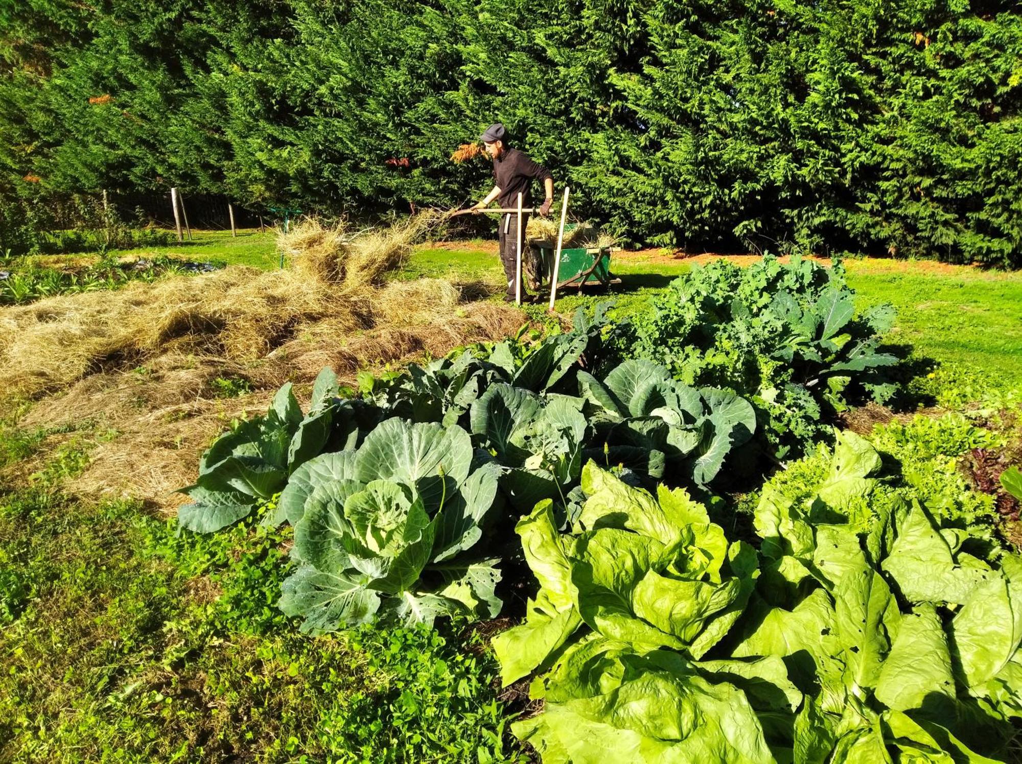 Tente Trappeur Ada, Au Jardin De La Vouivre Saint-Vincent-en-Bresse Exteriör bild