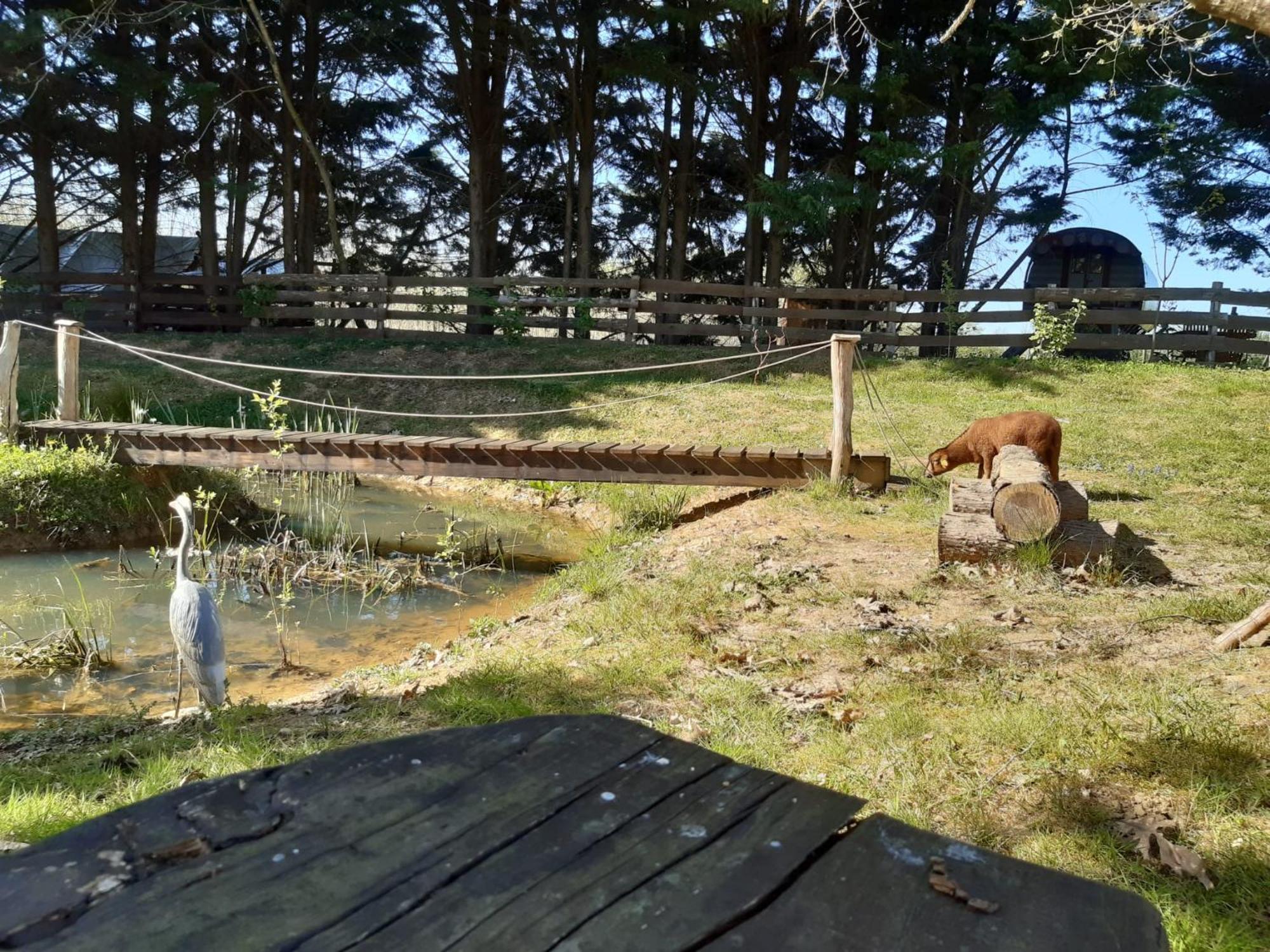 Tente Trappeur Ada, Au Jardin De La Vouivre Saint-Vincent-en-Bresse Exteriör bild