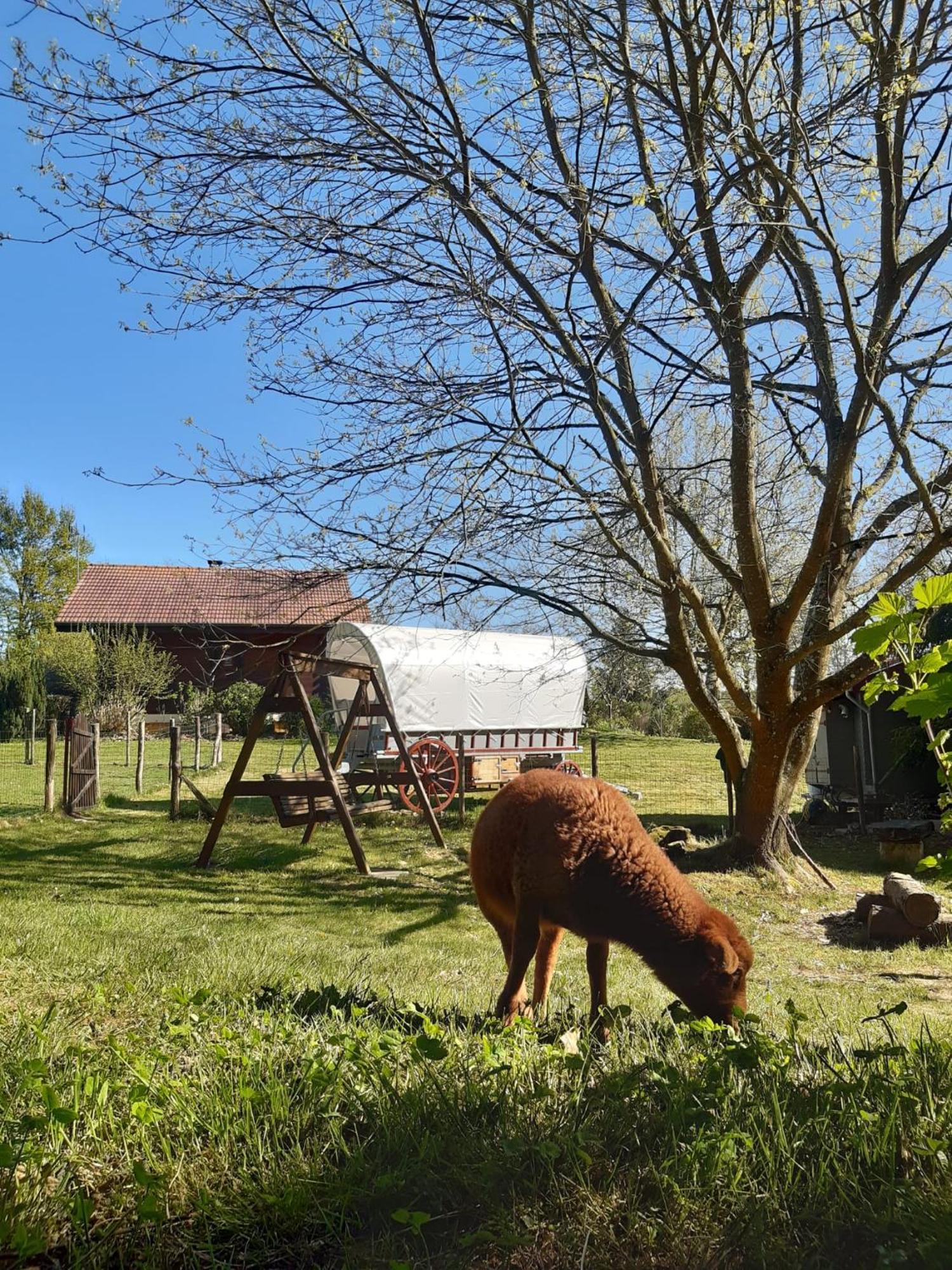 Tente Trappeur Ada, Au Jardin De La Vouivre Saint-Vincent-en-Bresse Exteriör bild